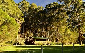 Diamond Forest Farm Stay